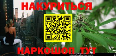 мяу мяу мука Краснознаменск
