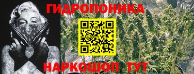 мяу мяу мука Краснознаменск