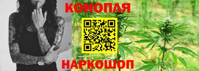 мяу мяу мука Краснознаменск