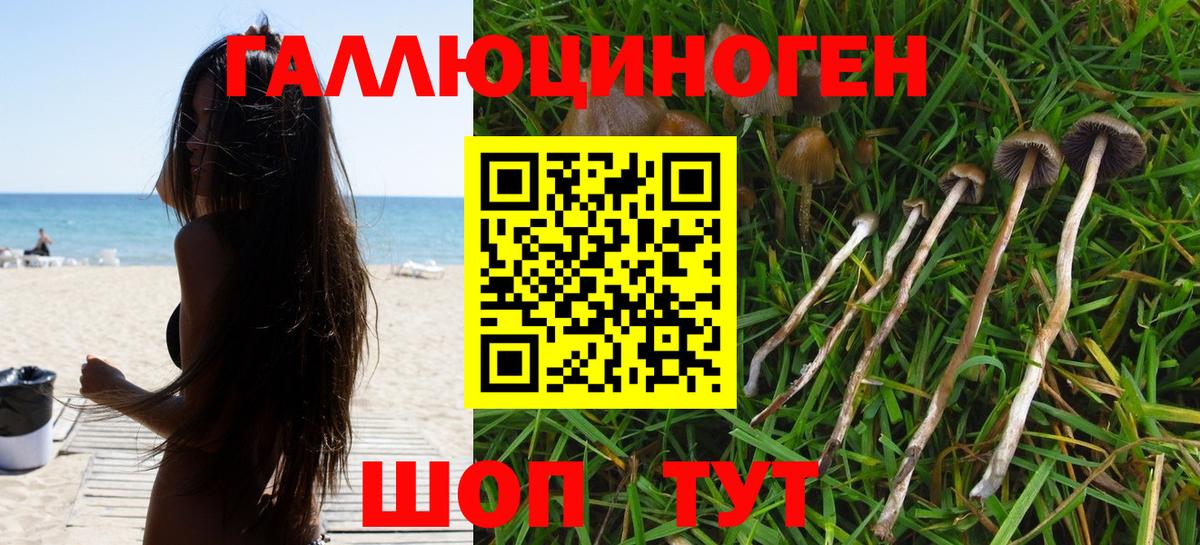 Галлюциногенные грибы ЛСД Клинцы