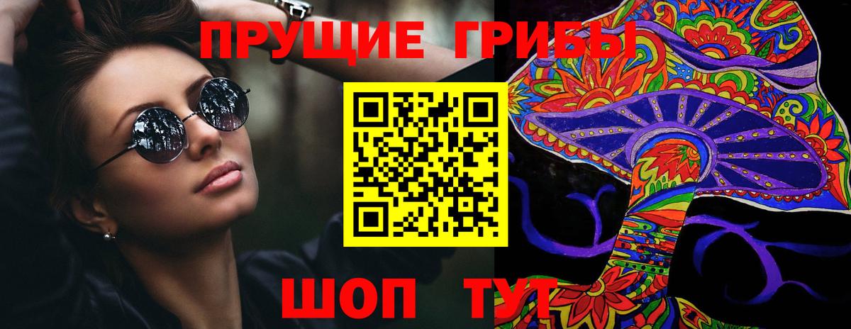 Клинцы  Псилоцибиновые грибы Psilocybine cubensis  Вход с VPN 